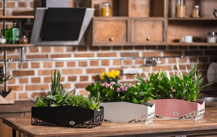 Hogyan válasszunk virágcserepeket a belső térben