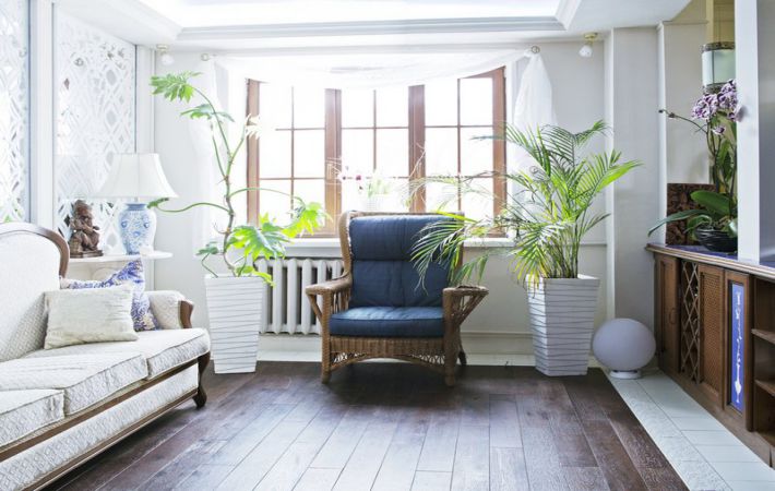 Hogyan válasszunk virágcserepeket a belső térben