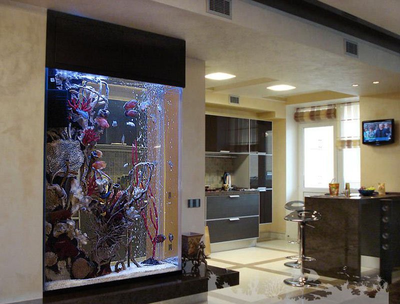 Hogyan válasszuk ki és helyezzük el az akváriumot