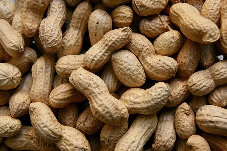 dióféléket