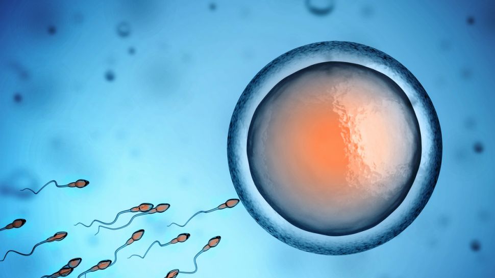 Az alacsony tesztoszteronszint a férfi meddőség oka