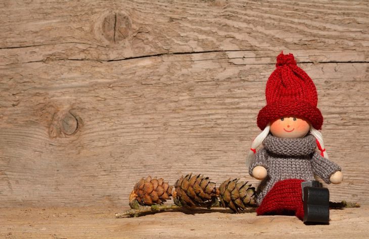 A szakértők 5 jelet neveztek annak, hogy barna lakik a lakásában