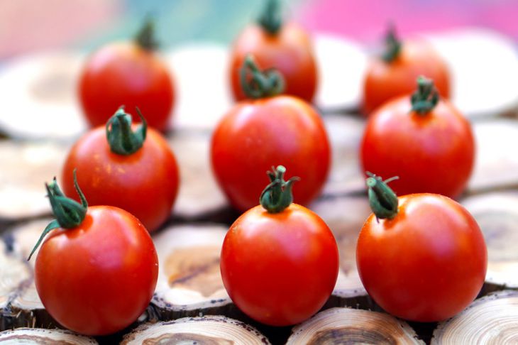 Kert az ablakpárkányon: hogyan neveljünk koktélparadicsomot otthon