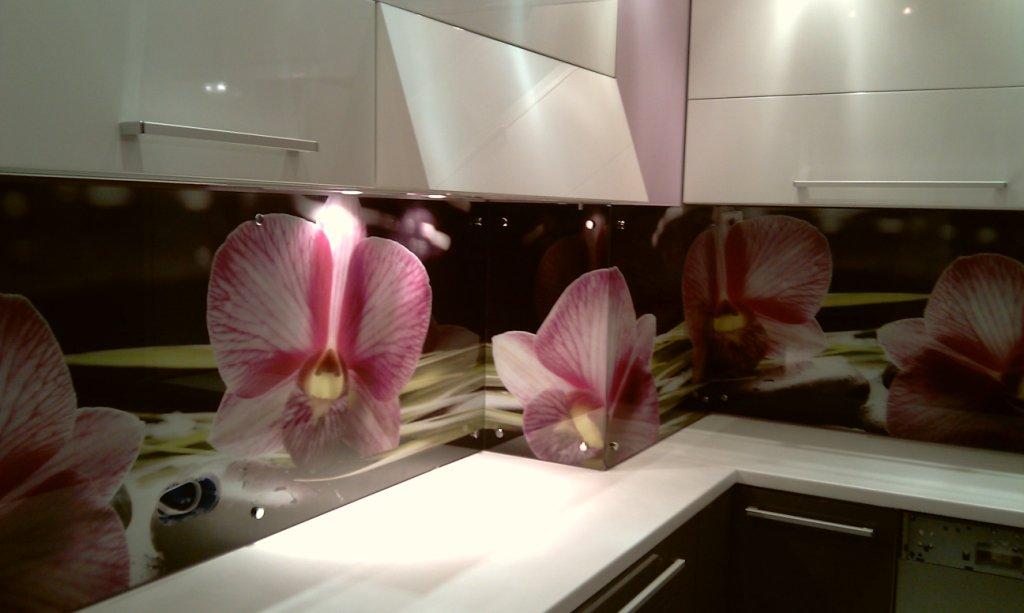 Hogyan válasszuk ki és szereljük fel az üveg konyhai kötényt