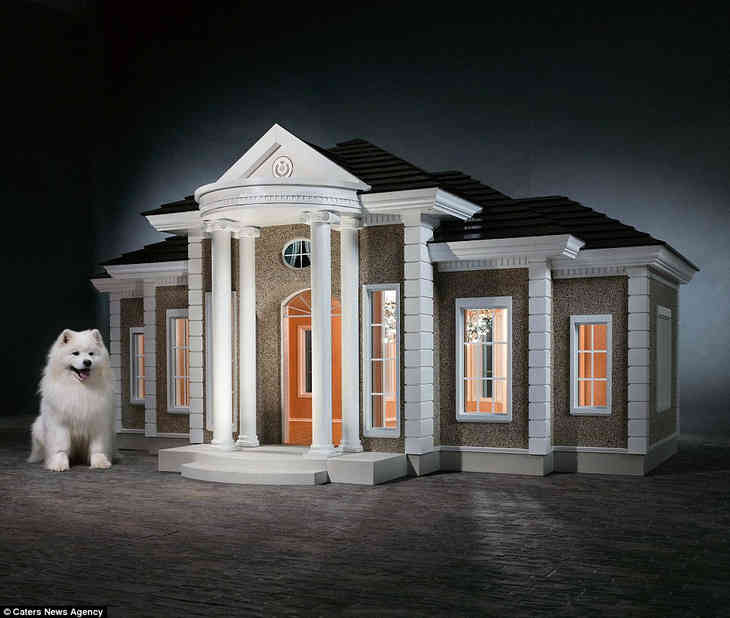 Kúriák szeretett házi kedvencek számára 150 ezer fontért