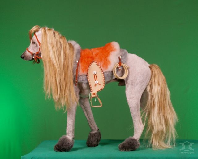 Szépség vagy állatkínzás?