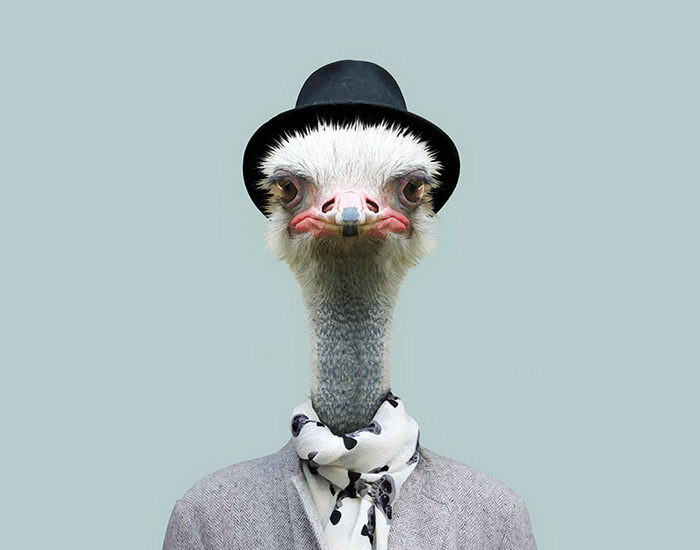 Yago Partal Animals Embernek álcázva