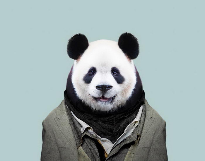 Yago Partal Animals Embernek álcázva