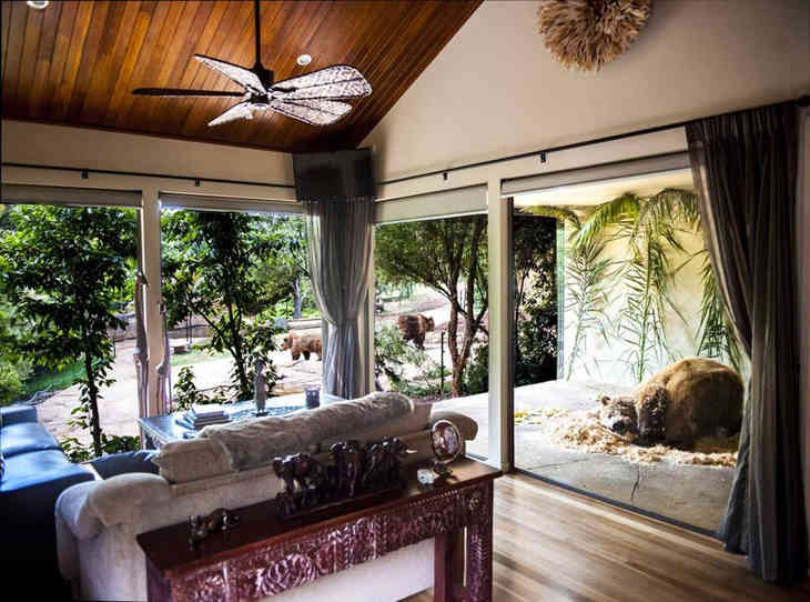 Ausztrál szálloda, ahol oroszlánokkal étkezhet (FOTÓK)