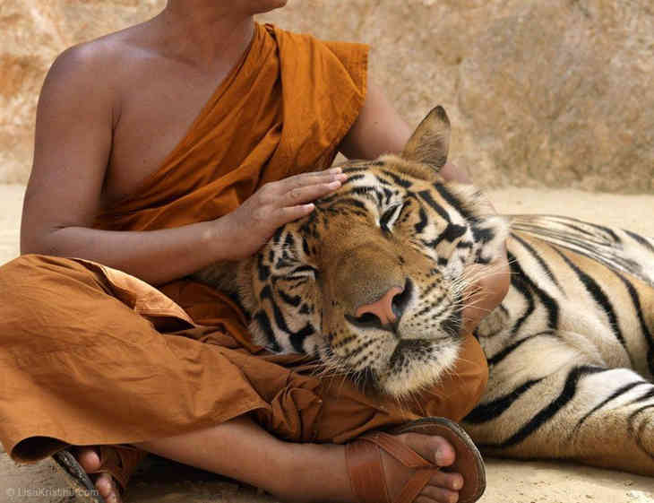 Tigris templom (FOTÓK)