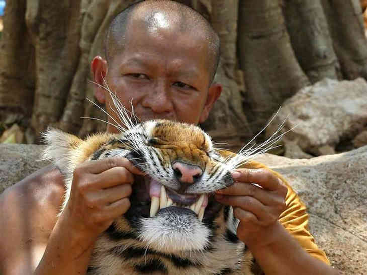 Tigris templom (FOTÓ)