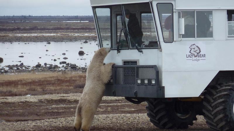 Az állatokkal való találkozások néha nagyon váratlanok (FOTÓ)