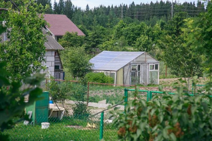 Cselekmény