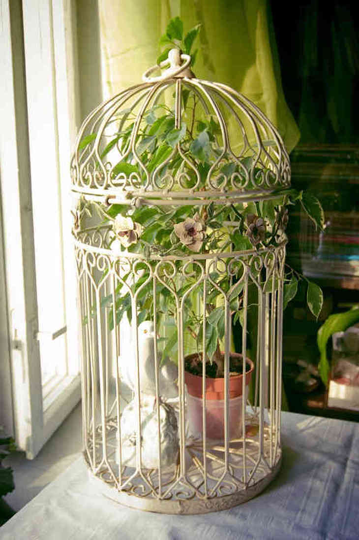 Madárketrec, mint hatékony dekorációs elem