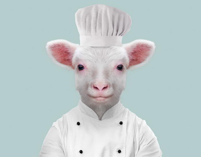 Yago Partal Animals Embernek álcázva