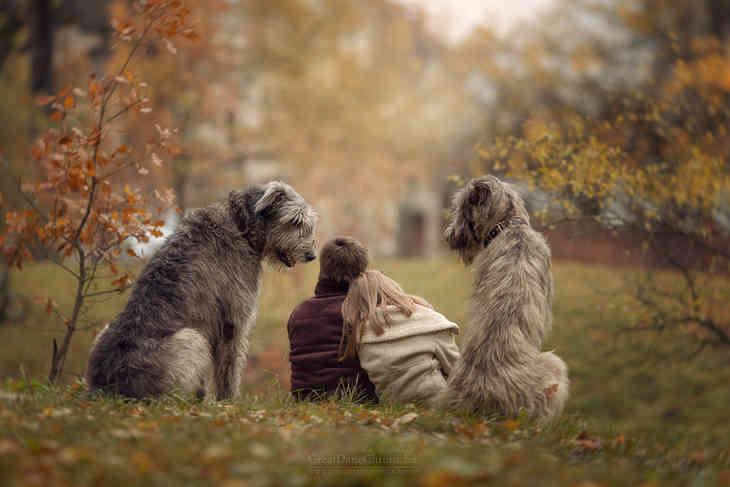 Tanulmány: a kutyák emlékeznek a tulajdonos minden cselekedetére