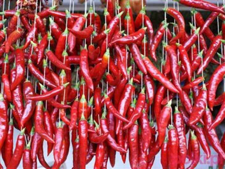 A paprika keserű és édes: hogyan maradjon sokáig friss