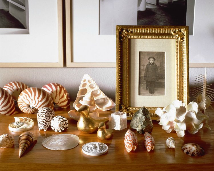 Hogyan lehet újjáéleszteni a belső teret