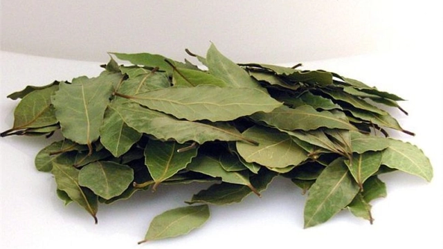 A babérlevél használata a fürdőben