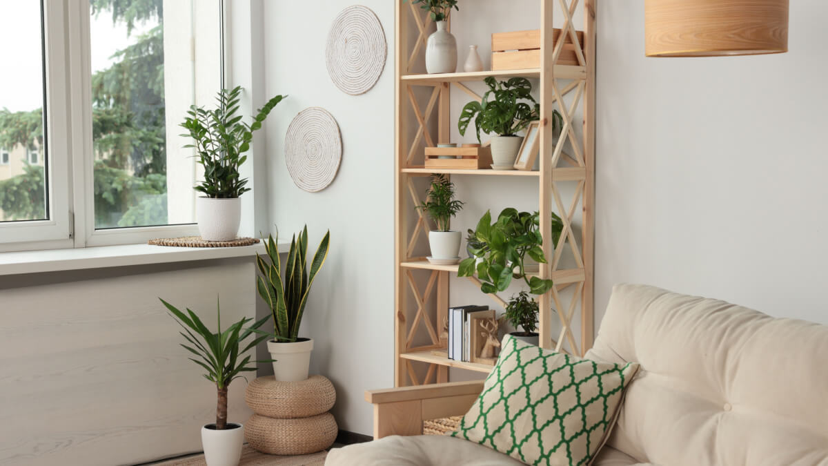 Nappali bézs színű kanapéval, zöld-fehér párnával és növényekkel a szobában