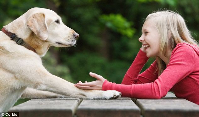 Az amerikaiak létrehoznak egy kütyüt az állatok megértéséhez