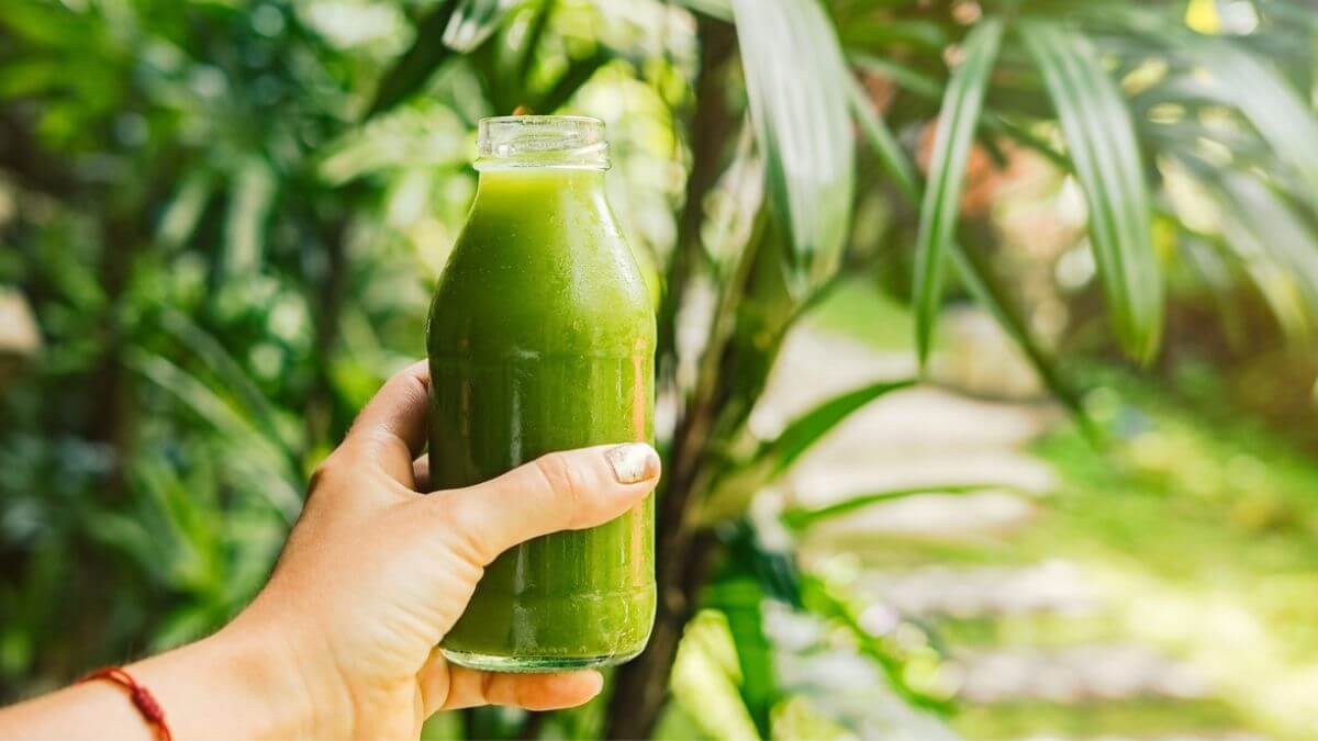 Női kezében egy üveg zöld lé egy fa előtt