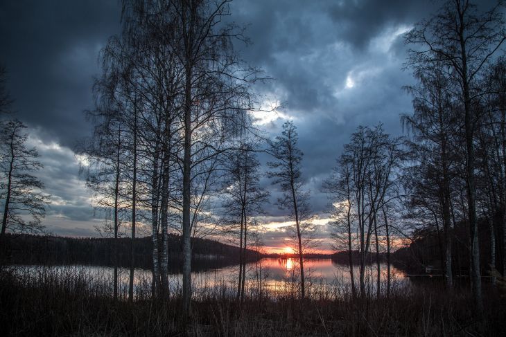 tavaszi