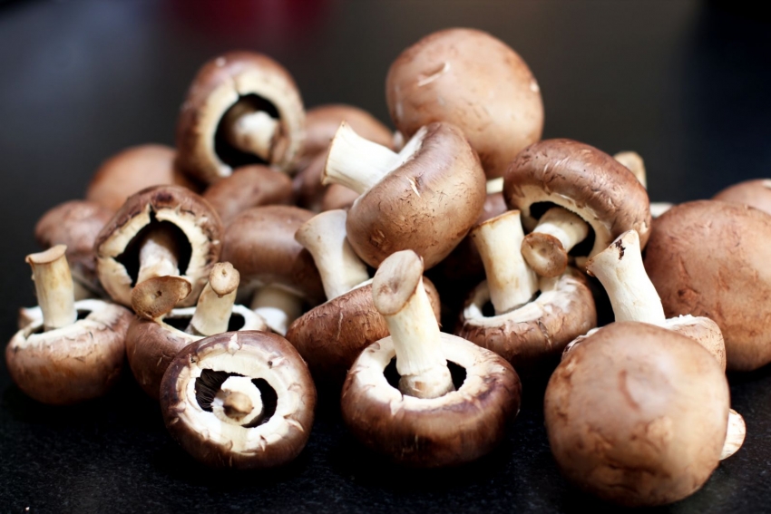Csiperkegomba