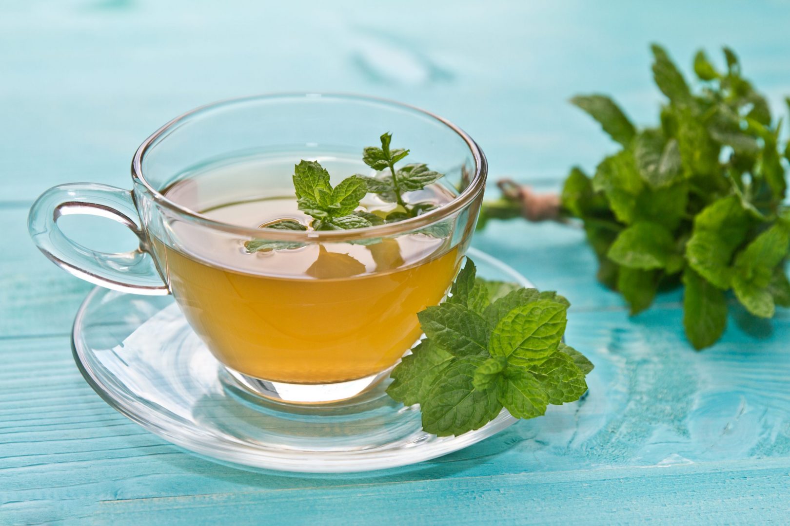 menta tea