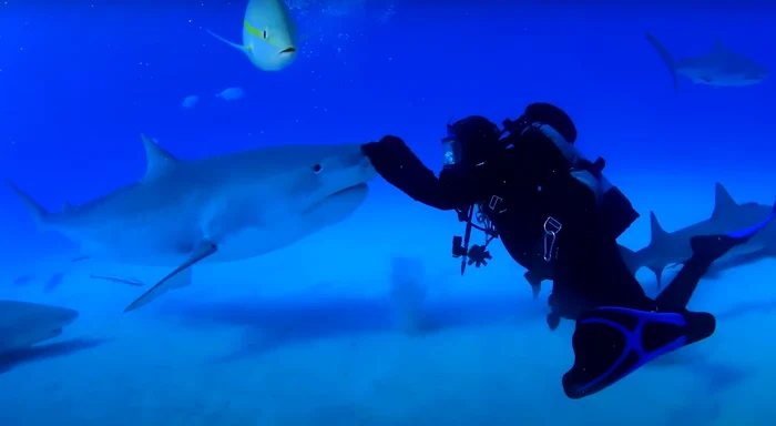 Jim Abernethyt &eacute;s Emm&aacute;t, a c&aacute;p&aacute;t k&uuml;l&ouml;nleges k&ouml;tel&eacute;k fűzi egym&aacute;shoz (Fot&oacute;: vide&oacute;felv&eacute;tel)