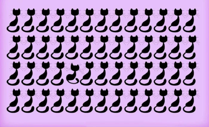 Megfigyelési teszt. Fotó: archívum.