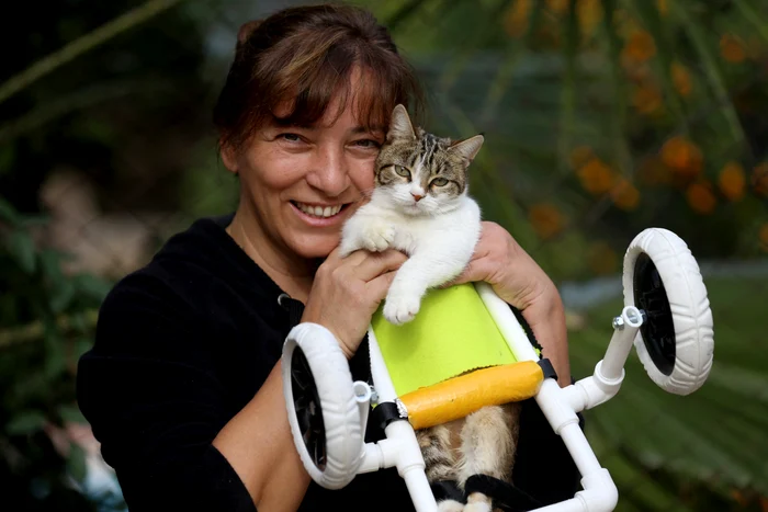 Motanul Iziy, G&ouml;k&ccedil;en szeretője, G&ouml;kmen Bayram mellett 