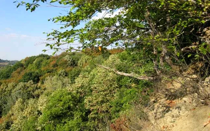 Ördög szakadéka. Fotó: Románia anya.