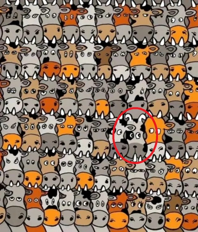 Itt van az eltérő kép