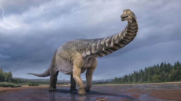 A dinoszauruszok az eg&eacute;sz vil&aacute;gon &eacute;ltek