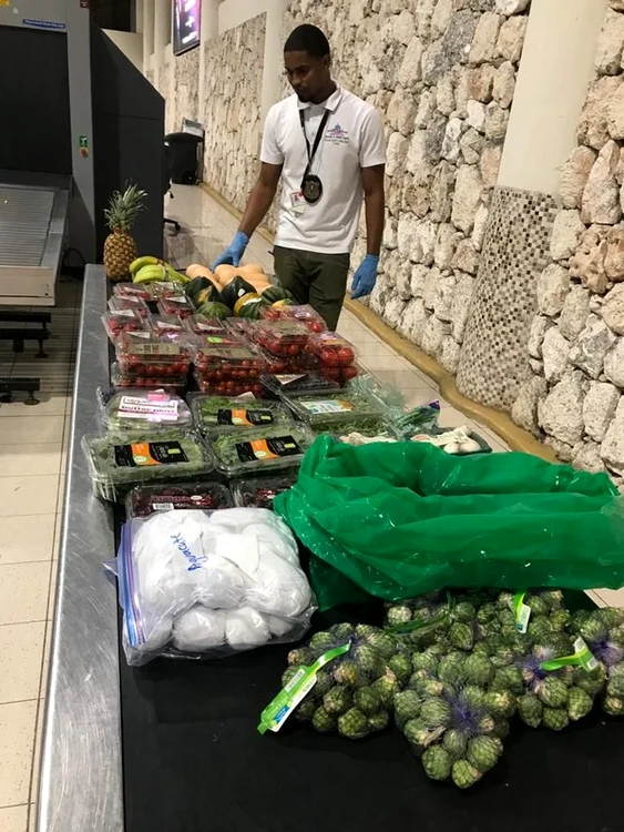 Az ételt elkobozták (fotó: videófelvétel)