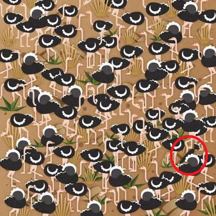 A válasz a kihívásra 