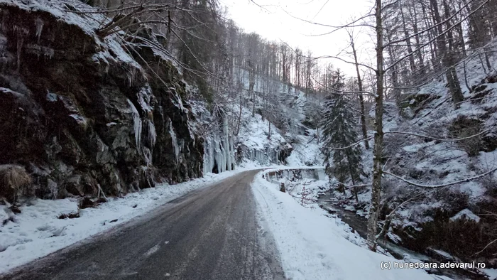 Cheile Jiețului Hunyadról Fotó Daniel Guță AZ IGAZSÁG (84) jpg