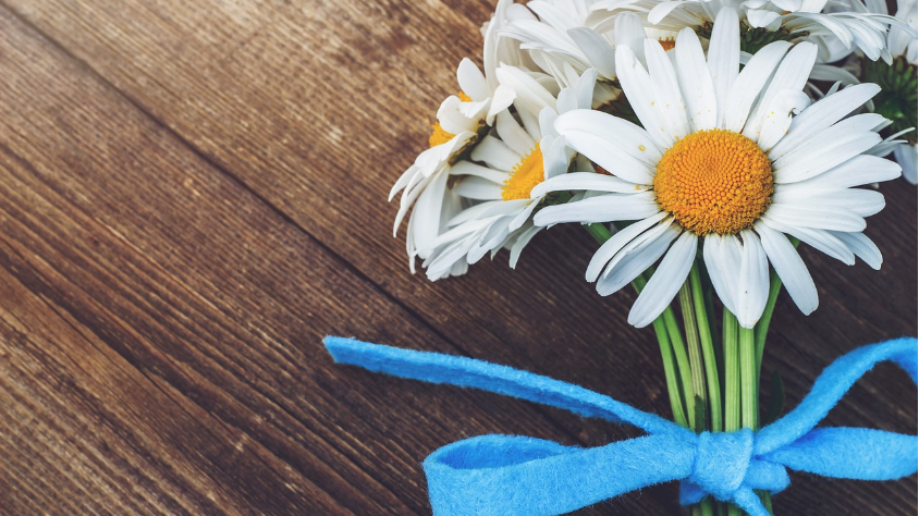 Százszorszép (Pixabay/AVAKAphoto)