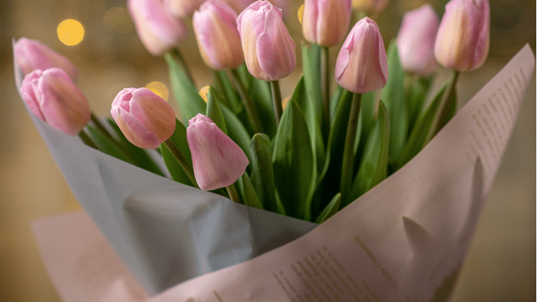 Tulipán csokor (Pixabay/Mitrey)