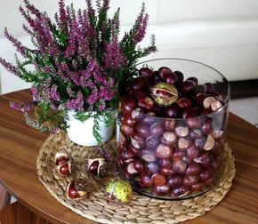 hihetetlenül Heidepflanze und Vase mit Kastanien - #