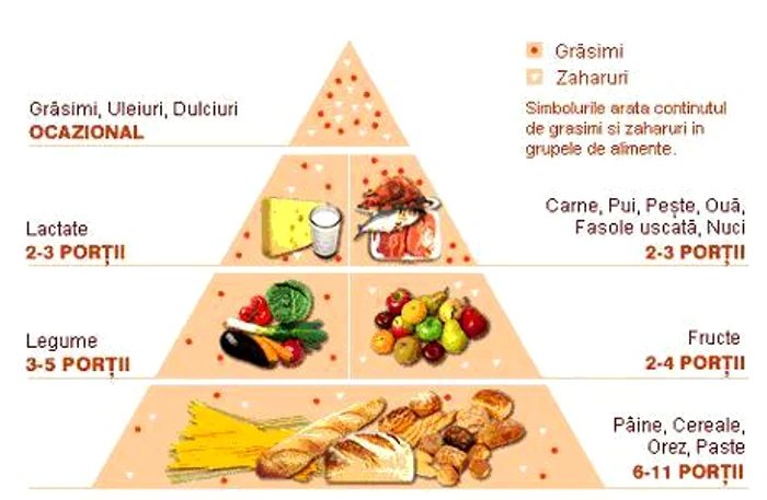 Táplálkozási piramis. FOTÓ archívum