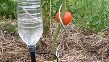 csepegtető öntözőrendszert