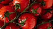 paradicsom