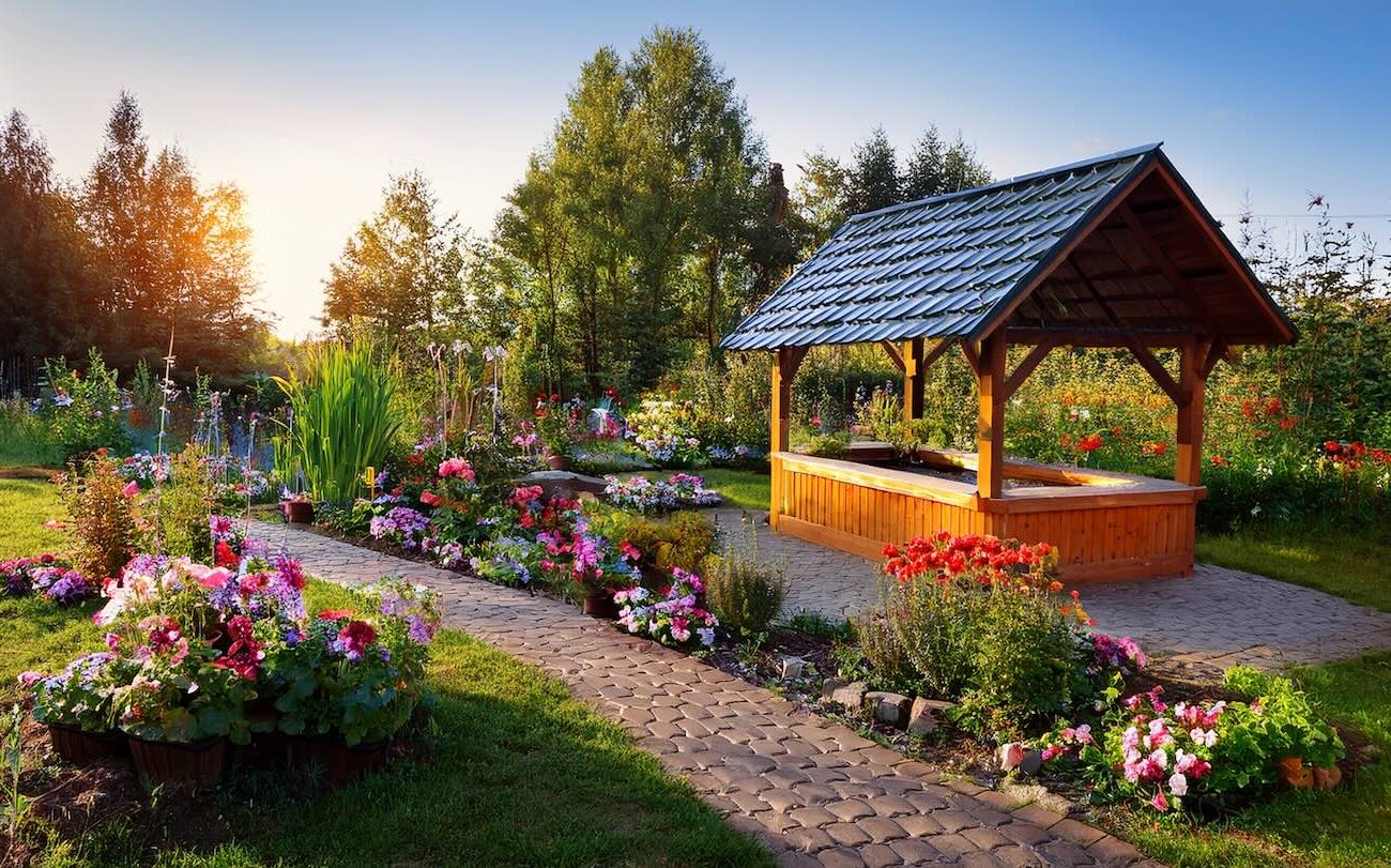 Dacha telek tetszik a szemnek egész nyáron: egy kertész elmondta, hogyan lehet a kert fényes és szép A dáka telek egész nyáron gyönyörködtetni fogja a szemet: egy kertész elmondta, hogyan lehet a kertet fényessé és széppé tenni.