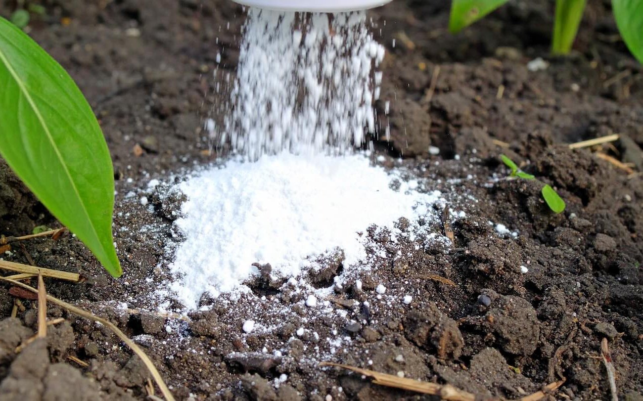 A gyermekpor lesz a legjobb nyári asszisztens: hatékony felhasználási módszerek a kertben A gyermekpor lesz a legjobb nyári asszisztens: hatékony felhasználási módszerek a kertben