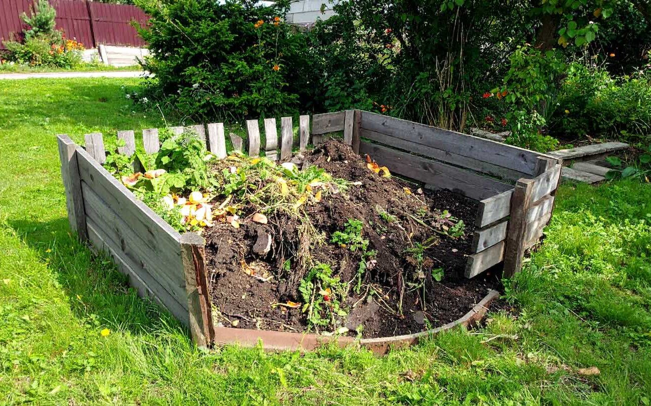 A komposzt rekordidő alatt érhető el a nyári lakosok egy ravaszának köszönhetően A komposzt rekordidő alatt érhető el a nyári lakosok egy ravaszának köszönhetően