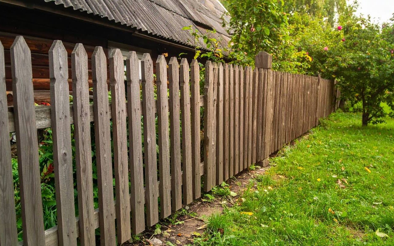 A fa -chapel már nem érinti a kerítést: bevált módszer a fa védelmére A fa -chapel már nem érinti a kerítést: bevált módszer a fa védelmére