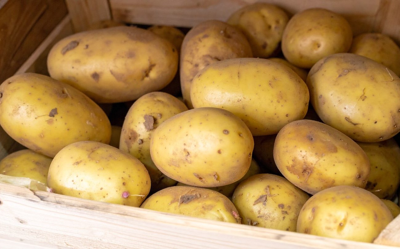 A burgonya nem ráncol és csírázza: Ne felejtse el a zöldség hosszú távú tárolásának módjait A burgonya nem ráncol és csírázza: Ne felejtse el a zöldség hosszú távú tárolásának módjait