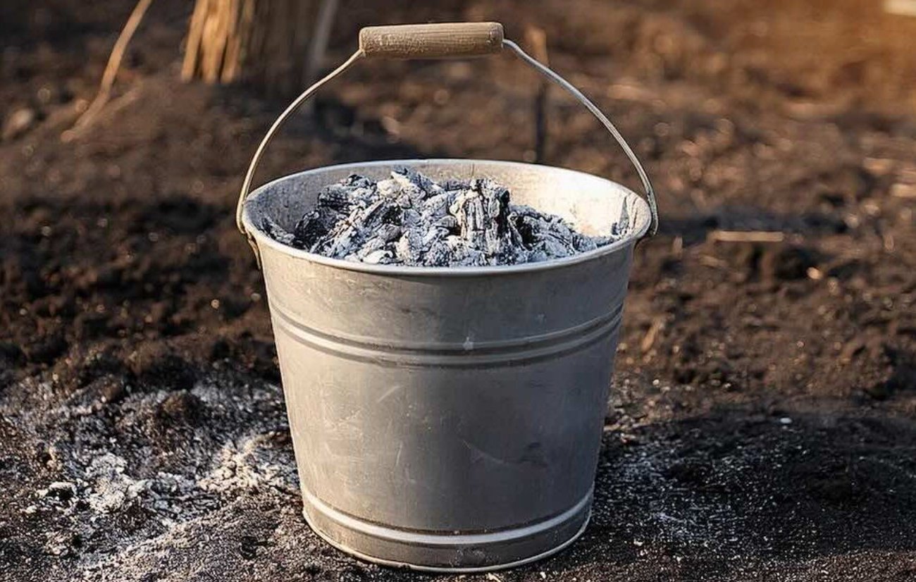 A fa hamu nélkülözhetetlen a kertben és a kertben: ez a műtrágya elősegíti a bőséges termést a következő évben A fa hamu nélkülözhetetlen a kertben és a kertben: ez a műtrágya elősegíti a bőséges termést a következő évben